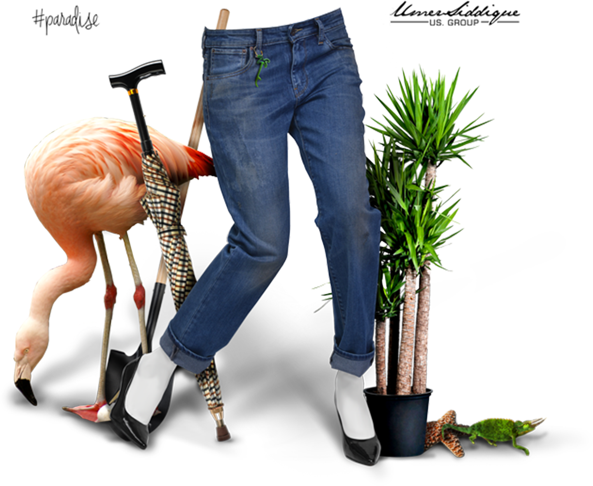 Stories - Grass Clipart (2263x1751), Png Download