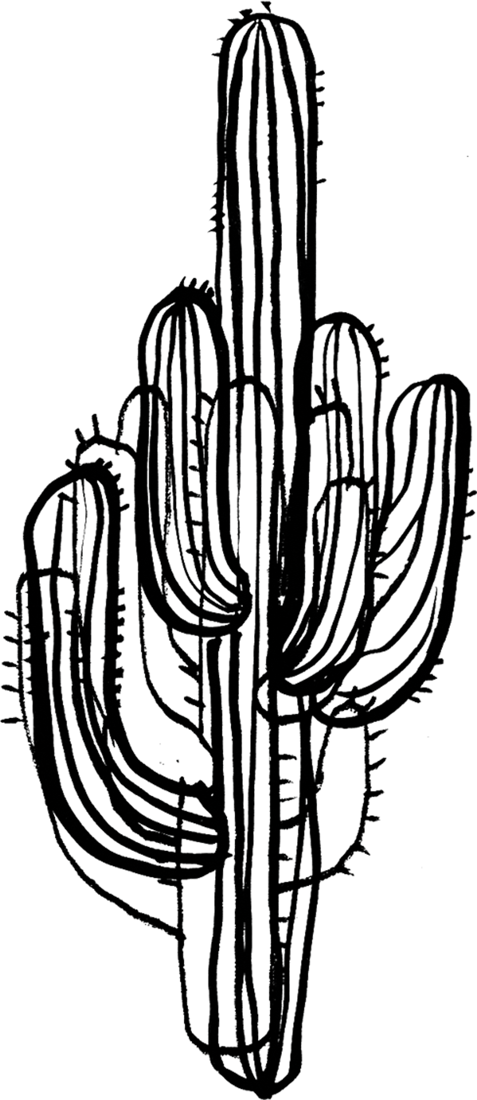 Download 2048 X 2048 1 - Cactus Png Black And White Clipart Png