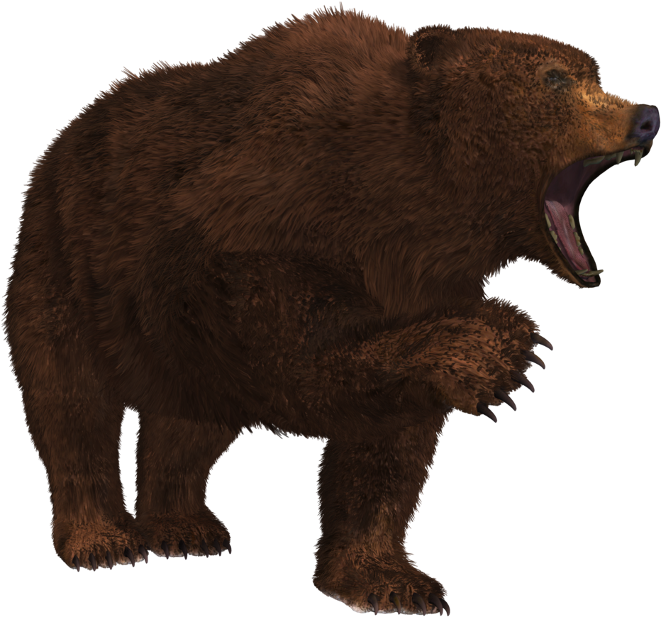 Bear Png - Growling Bear Png Clipart (1024x989), Png Download