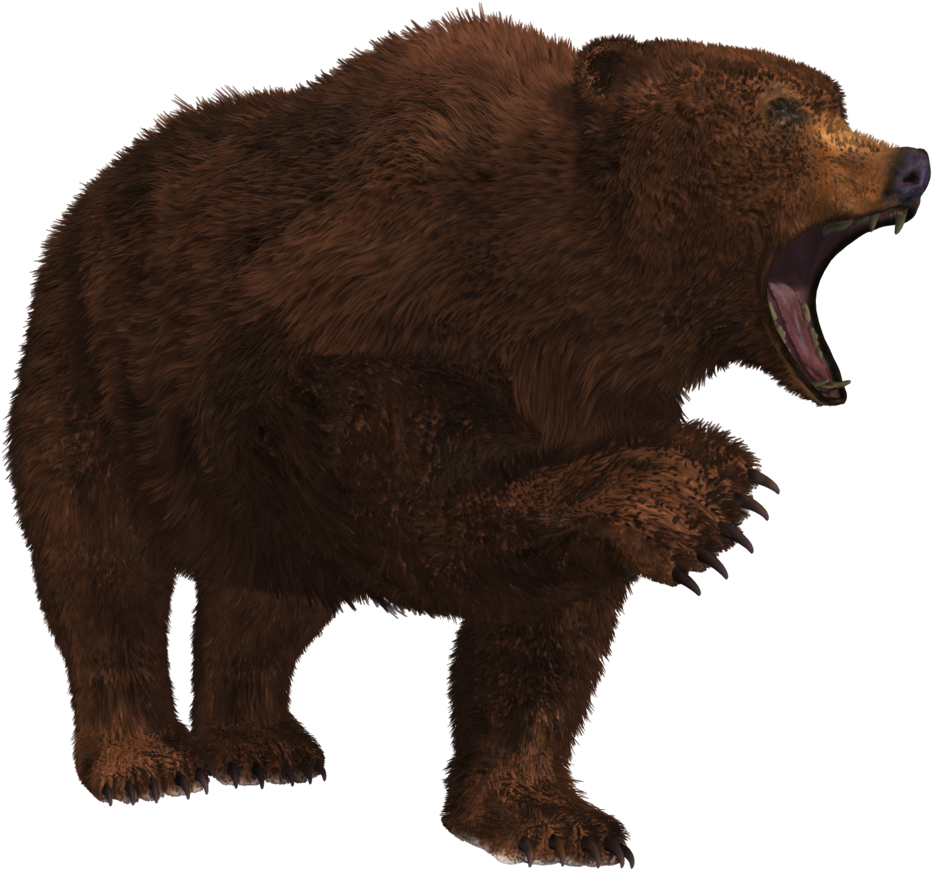 Download Bear Png - Growling Bear Png Clipart Png Download - PikPng