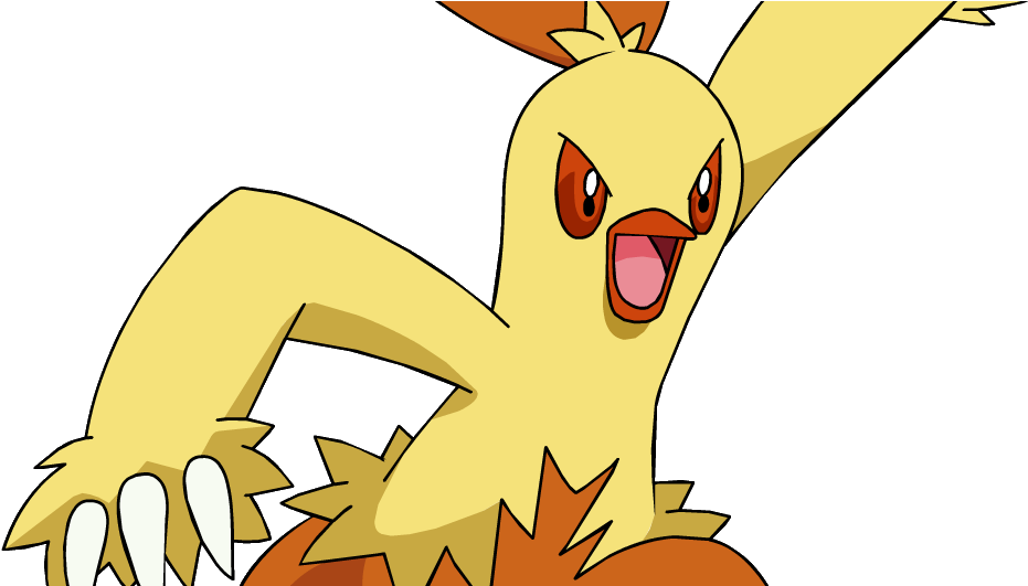 Pokemon Combusken Clipart (1009x530), Png Download