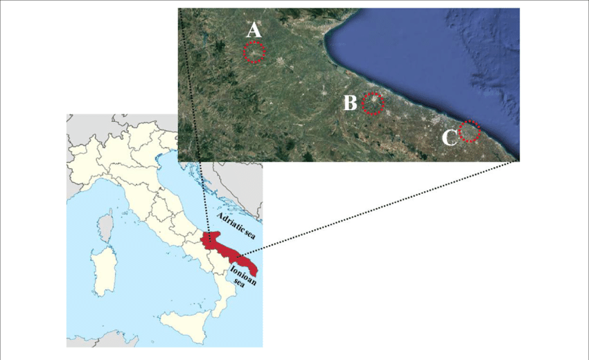 Map Of Italy With Puglia Region In Red And The Areas - Location Of Italy Clipart (850x520), Png Download