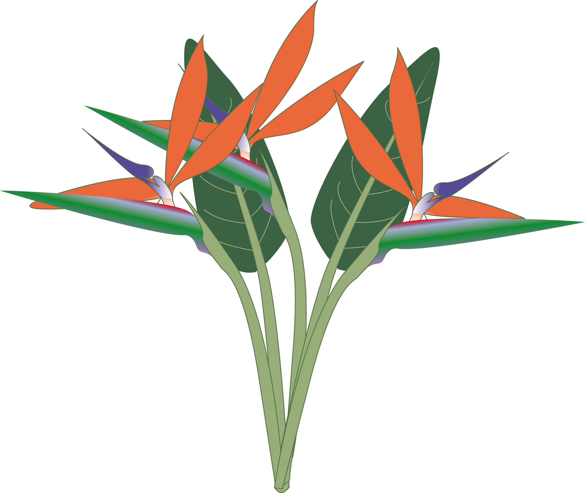 This Free Icons Png Design Of Oiseau Du Paradis - Bird Of Paradise Png Clipart (2400x2020), Png Download