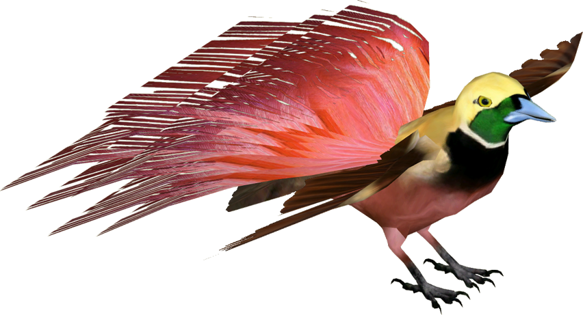 Raggiana Bird Of Paradise - Finch Clipart (852x461), Png Download