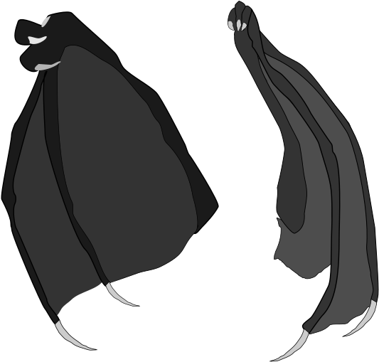 Dragon Wings Vector Stock Blk - Dragon Wings Transparent Png Clipart (650x550), Png Download