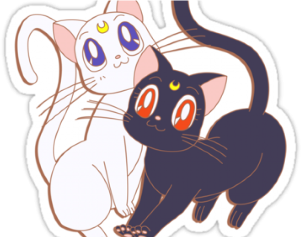 Cat Yawns Clipart (640x480), Png Download
