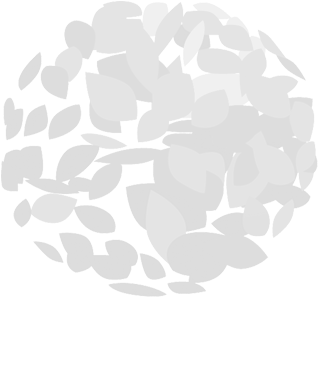 Subscríbete A Nuestro Boletín - Earth Check Clipart (753x438), Png Download