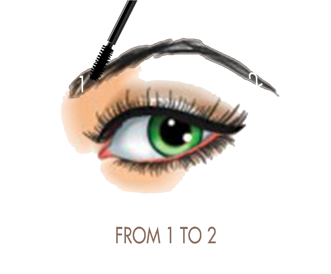 Clip Transparent Library Huge Freebie Art - Eye Liner - Png Download (1087x938), Png Download