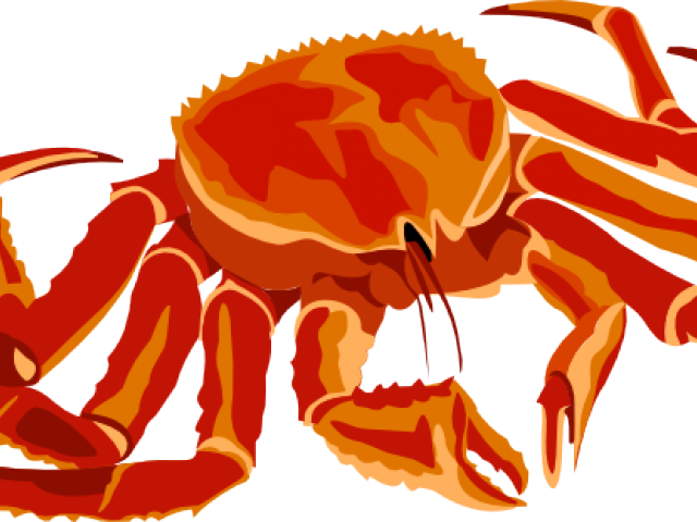 Seafood Clipart Spider Crab - Png Download (640x480), Png Download