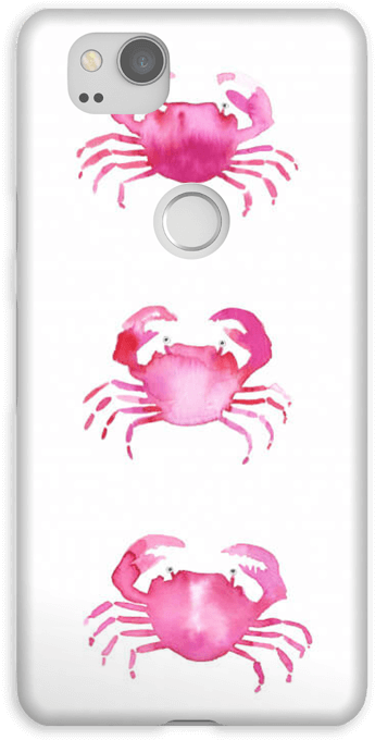 Grab A Crab Case Pixel - Freshwater Crab Clipart (484x800), Png Download