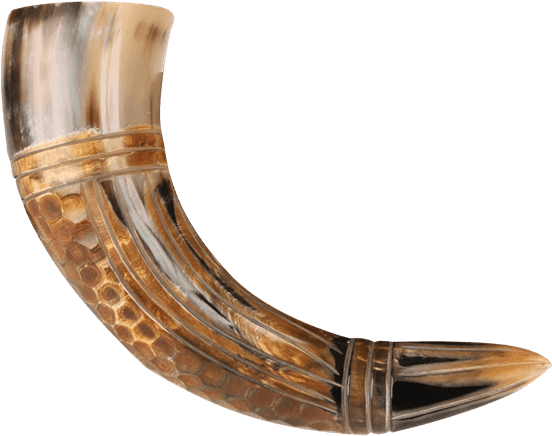 804521 - Chifres Png De Corno Clipart (555x555), Png Download