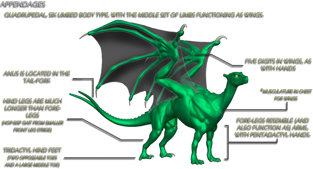Pern Dragons Clipart (1100x615), Png Download