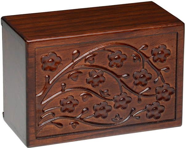 Cherry Blossom M 1 - Drawer Clipart (600x600), Png Download