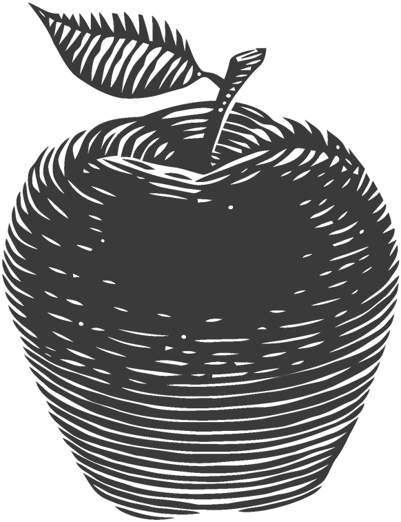 Apple Basket Png - Apple Cider Sketch Clipart (582x757), Png Download