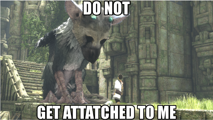 [the Last Guardian] Knowing That This Game Takes Place - Last Guardian Jacksepticeye Meme Clipart (720x500), Png Download