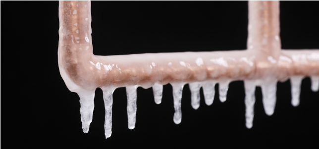 New Exterior Main Image - Skull Clipart (1200x300), Png Download