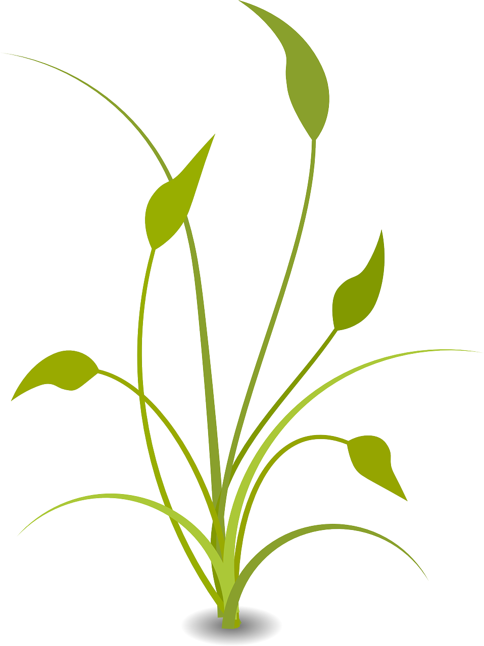 Plant Leaves Grad Green Png Image - Nature Clipart Transparent (958x1280), Png Download