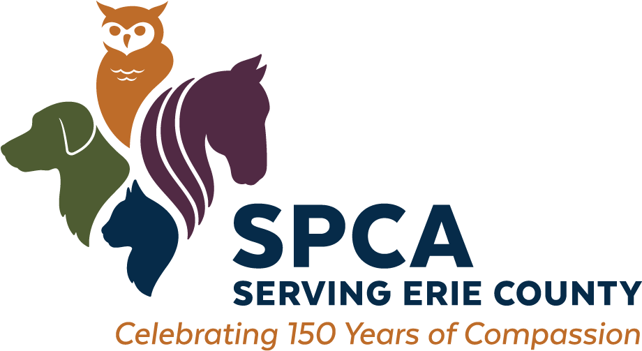 Spca Erie County Logo , Png Download - Illustration Clipart (920x503), Png Download