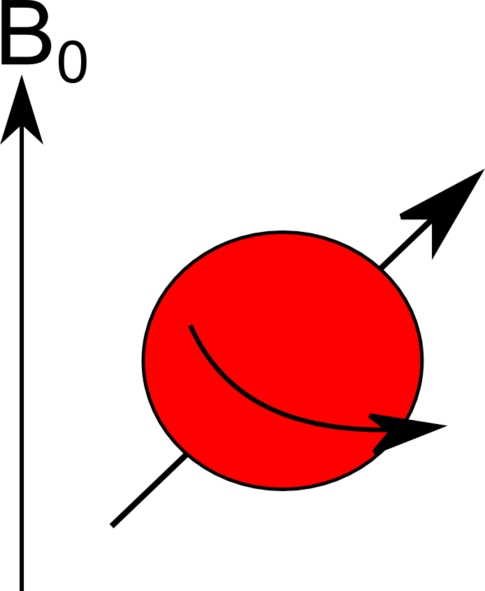 Spin - Spin Mri Clipart (694x846), Png Download