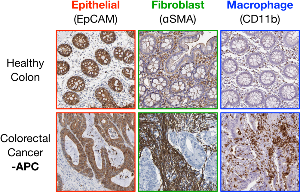 Figure 1 - Igneous Rock Clipart (1000x655), Png Download