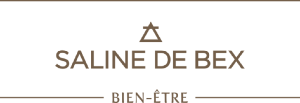 Dec Logo Saline - Poster Clipart (966x331), Png Download