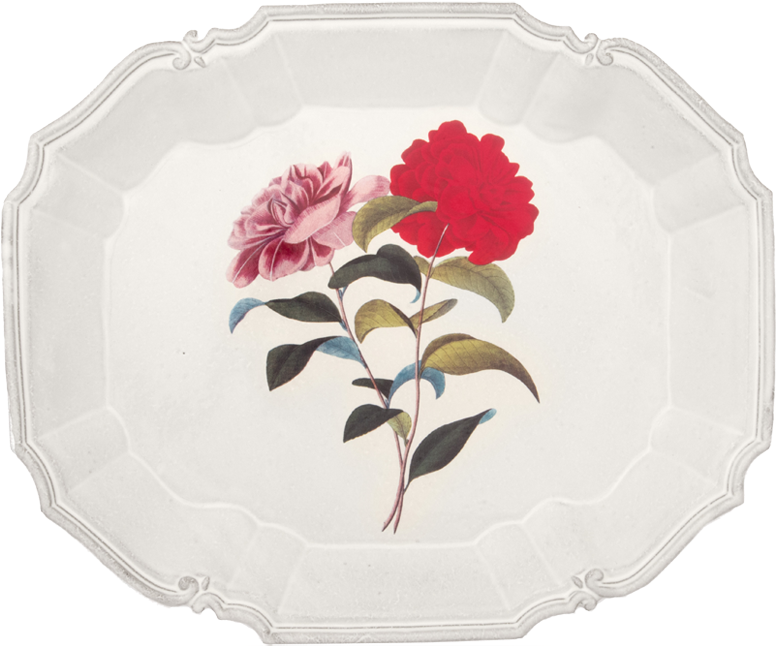 Poinsettia Clipart (800x800), Png Download