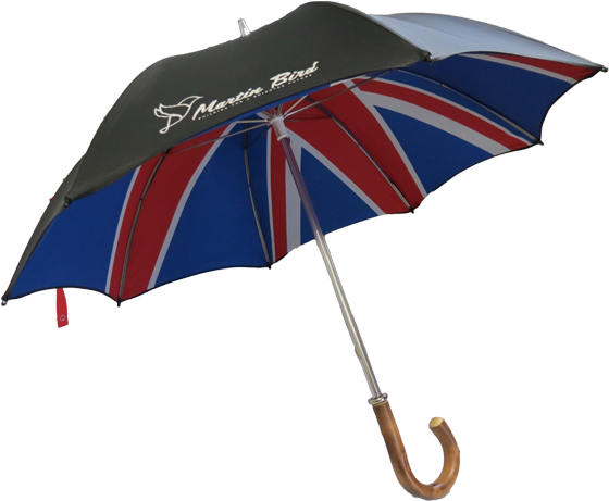 Umbrella Clipart (800x500), Png Download