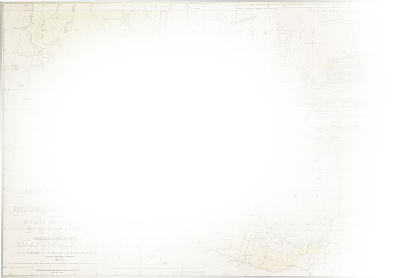 Shrimp Cocktail - Paper Clipart (800x548), Png Download