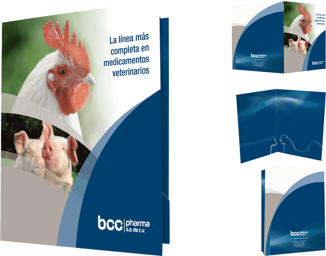 Brochure , Png Download - Rooster Clipart (1083x852), Png Download