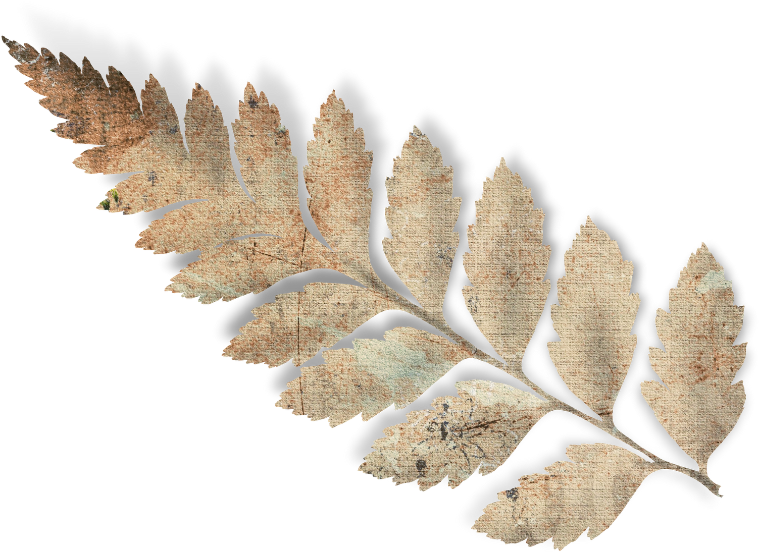 Publicado Por Unknown En - Scrap Bautizo Png Clipart (1600x1170), Png Download