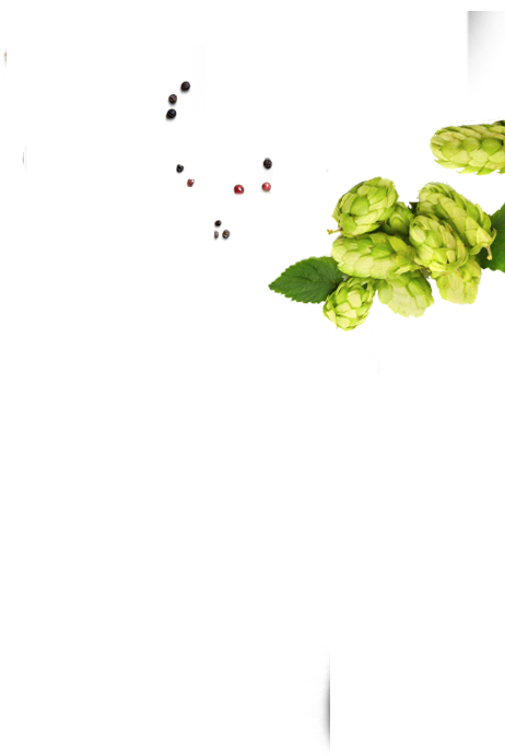 Slider 1 Slide 3 Right - Brussels Sprout Clipart (461x699), Png Download