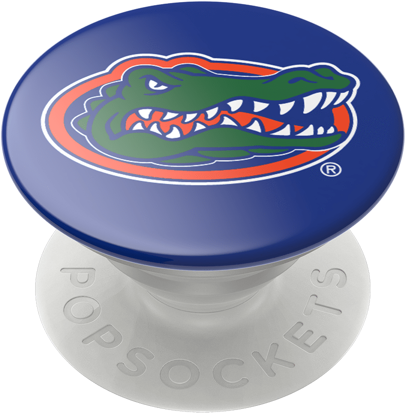 Florida Logo - Illustration Clipart (989x1000), Png Download