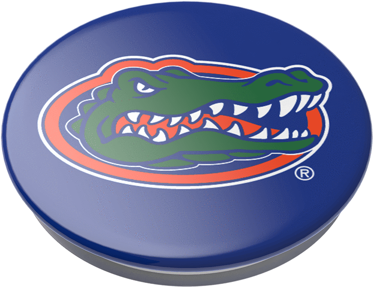 Florida Logo - Label Clipart (989x1000), Png Download