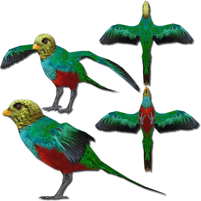 Golden Headed Quetzal V2 - Parrot Clipart (793x793), Png Download