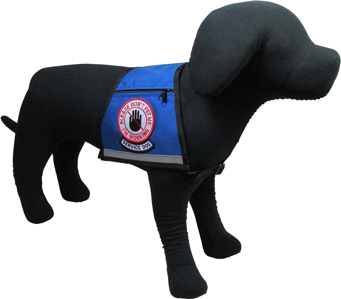 Companion Dog Clipart (1200x1060), Png Download