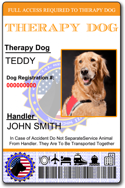 Get The Best Search And Rescue Dog Id At The Most Reasonable - Service Dog Id Clipart (500x750), Png Download