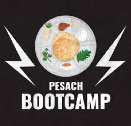 Pesach Bootcamp Listing Pic - Jasmine Rice Clipart (729x486), Png Download