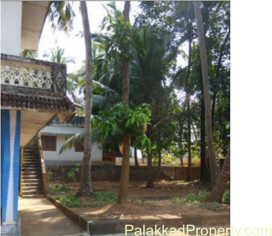 For Sale, 29cent Property With Cocunut Trees, Mango - Attalea Speciosa Clipart (640x480), Png Download