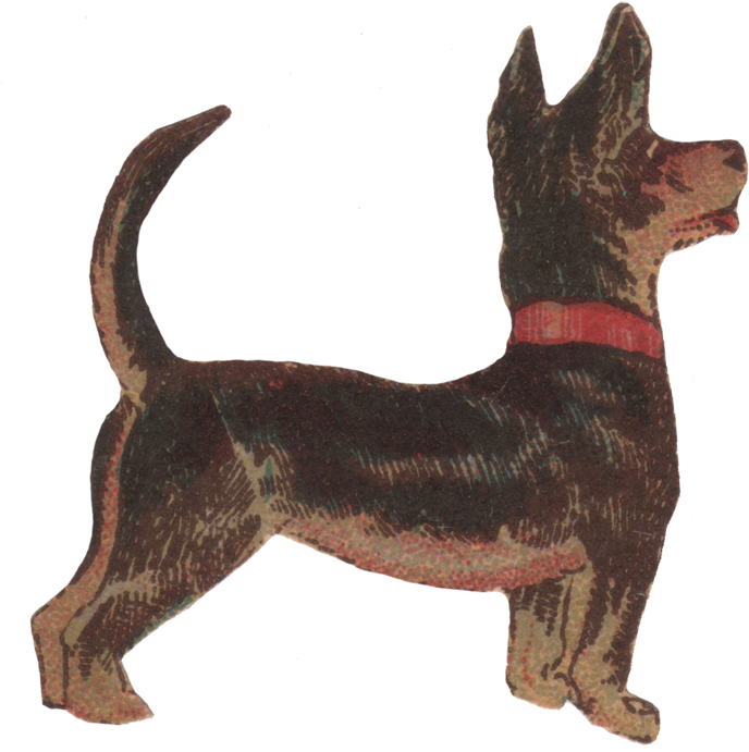 Darling Dog - Ancient Dog Breeds Clipart (700x717), Png Download