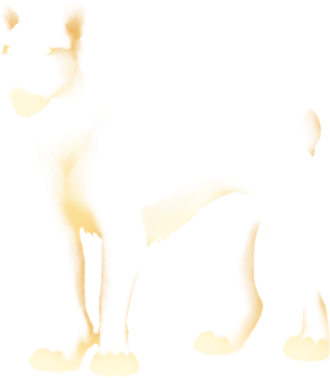 Companion Dog Clipart (640x500), Png Download