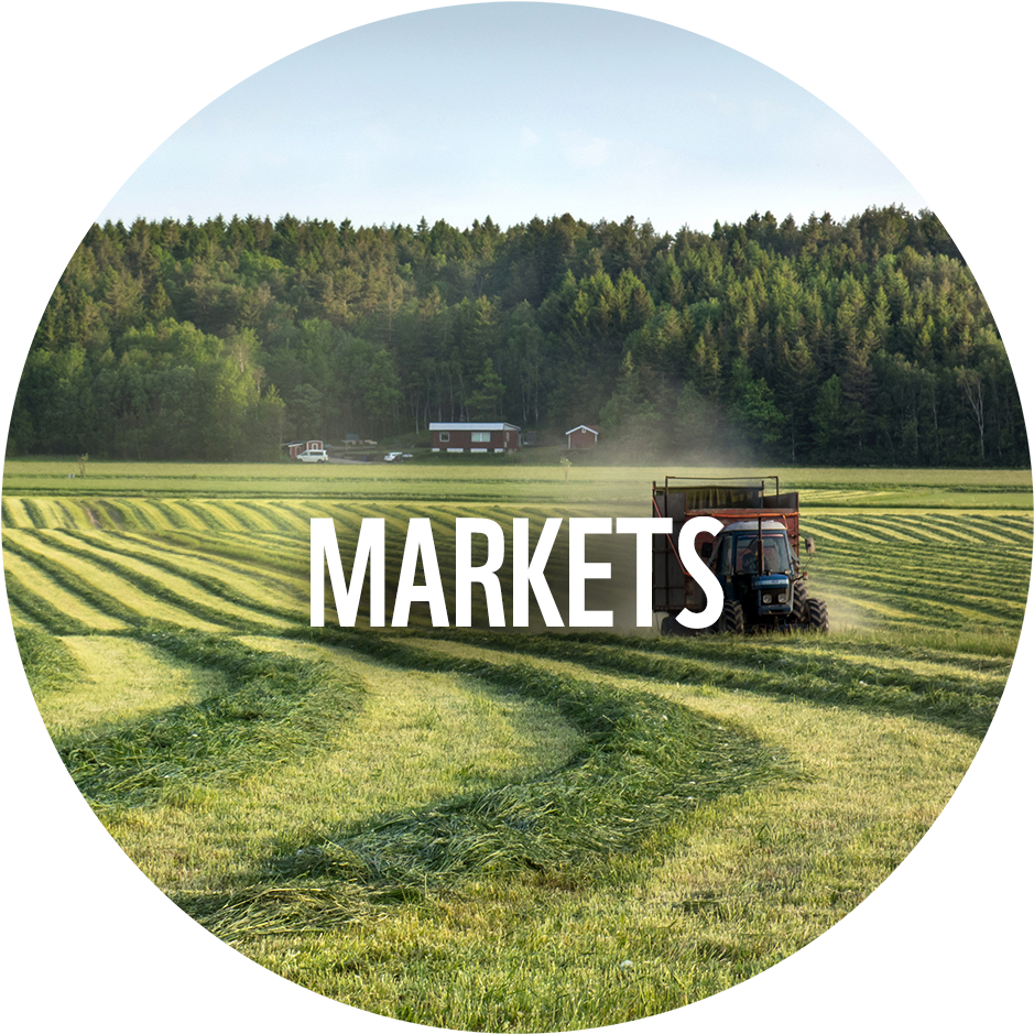 Across 3 Cross-cutting Drivers - Grass Clipart (1000x971), Png Download