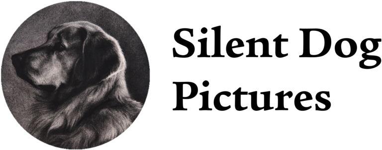 Hd Logo W Clipart (1000x545), Png Download