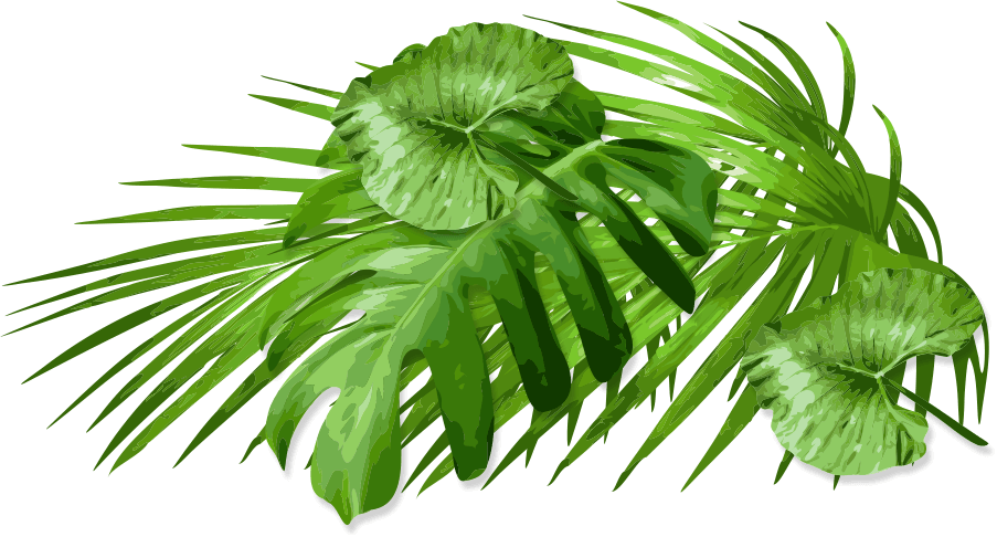 Follow The Fedora To Free Attractions Below Clipart (903x486), Png Download