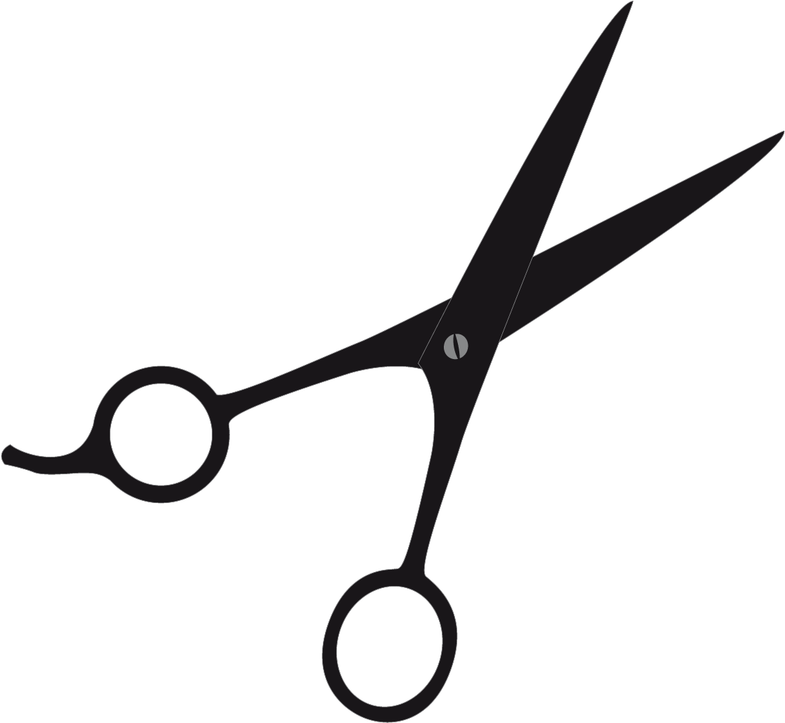 Clipart Transparent Download Hair Care Transprent Png Hairdresser Large Size Png Image Pikpng