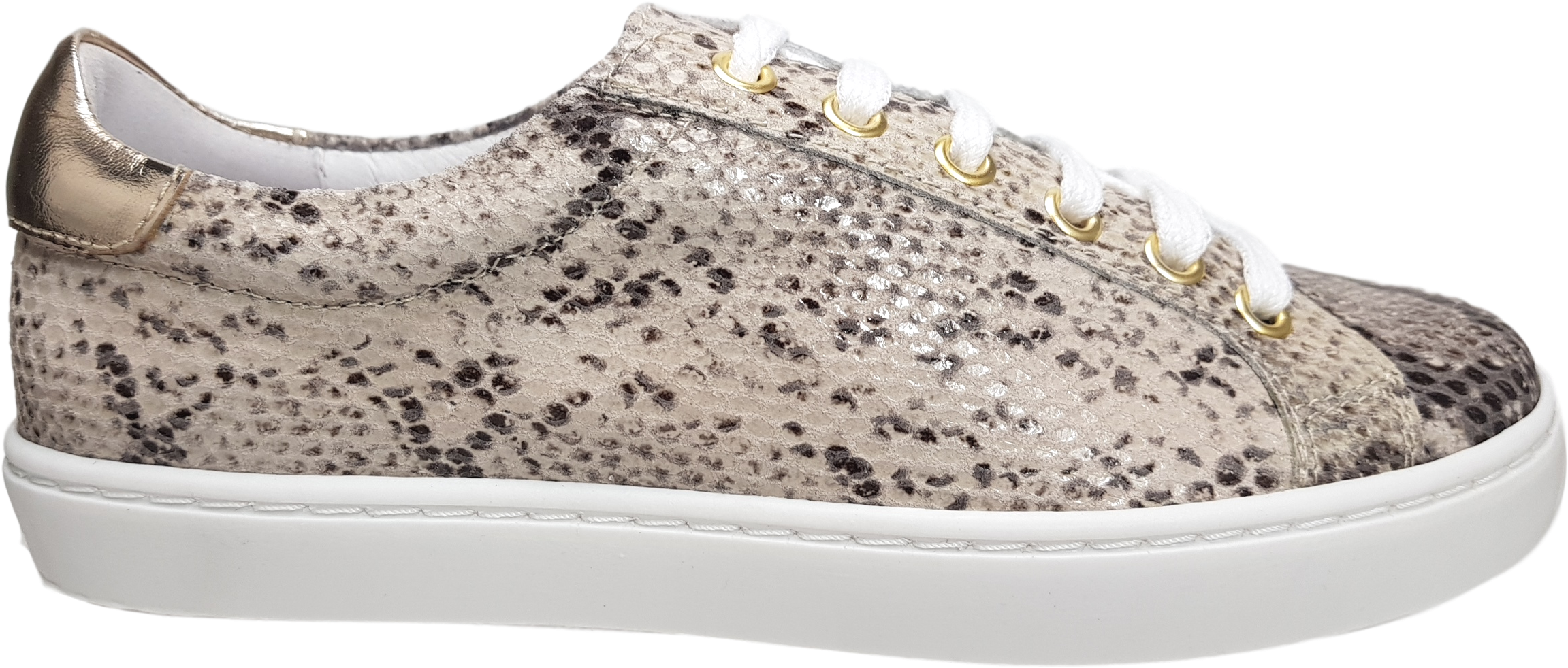 Ladies Shoe - Scottsdale - Sneakers Clipart (2374x1038), Png Download