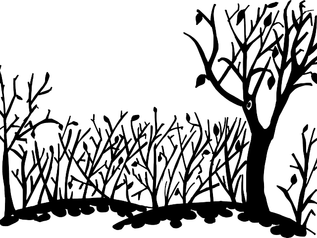 Nature Clipart Transparent - Nature Drawing Transparent - Png Download (640x480), Png Download