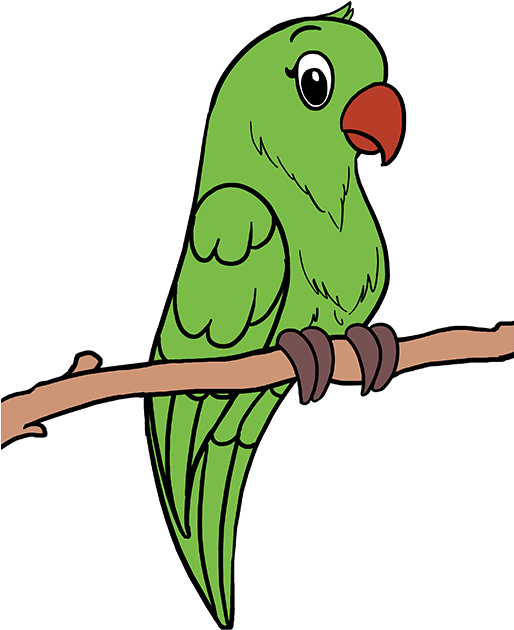 Drawing Feather Parrot - Draw Parrot Step By Step Clipart (680x678), Png Download