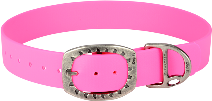 Buckle Clipart (1000x668), Png Download