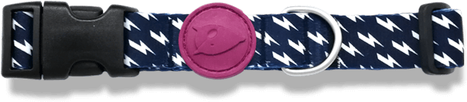 Dog Collar - Belt Clipart (720x481), Png Download