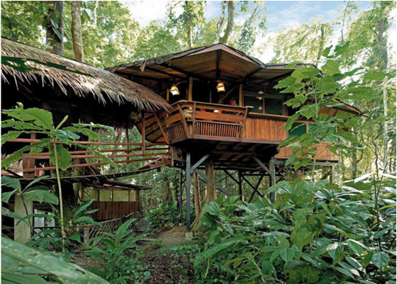 View The Tree House Resort, Tree House Resort Playa - Puerto Viejo Costa Rica Tree House Lodge Clipart (960x400), Png Download